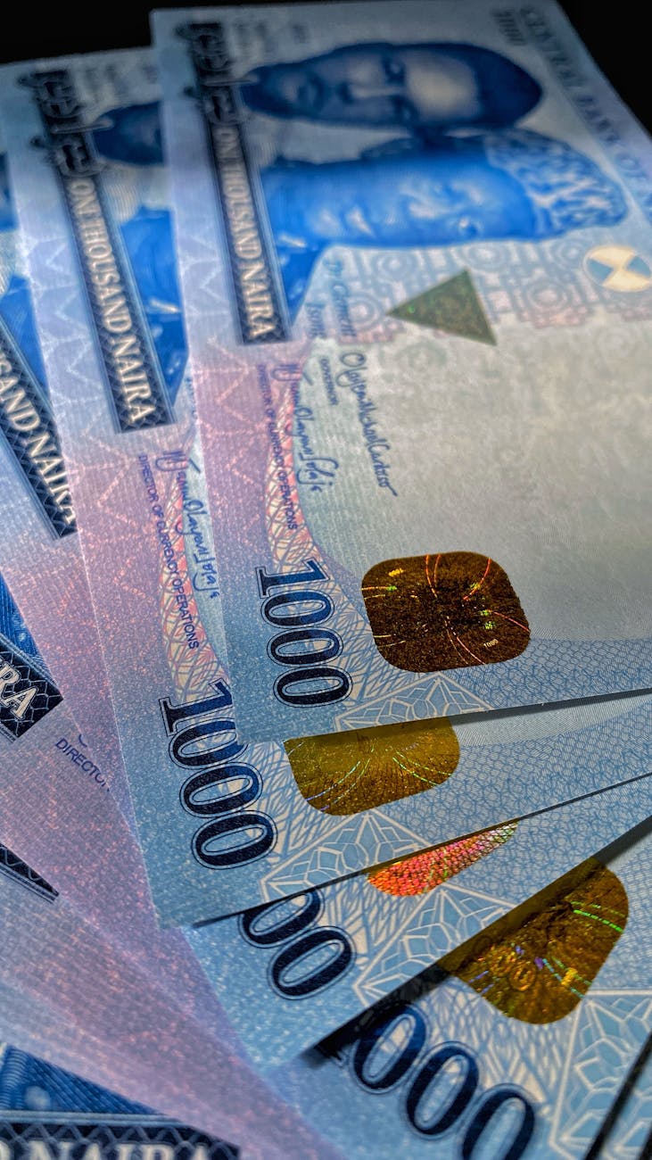 close up of nigerian naira banknotes in detail